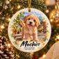 custom dog cat ornament product image mockup view