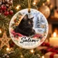 custom dog cat ornament product image product photo