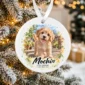 custom dog cat ornament product image product photo