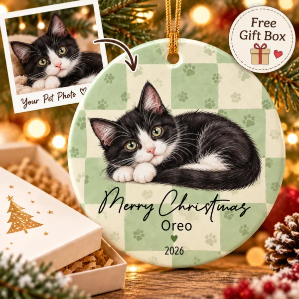 Personalized Pet Photo Ornament with Name, Year & Custom Background — alternate product mockup personalized pet photo ornament with name product image back view