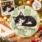 personalized pet photo ornament with name product image back view