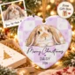 personalized pet photo ornament with name product image back view