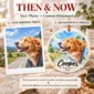 personalized watercolor pet ornament product image color options