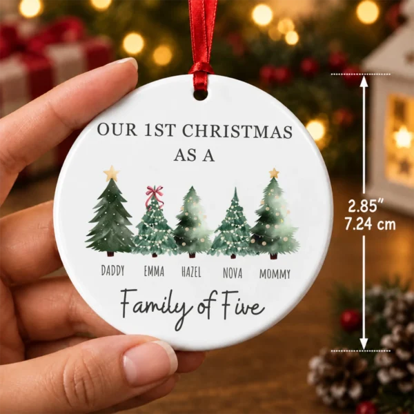 Personalized Family Christmas Ornament with Custom Name Trees — alternate product mockup family Christmas ornament product image product photo
