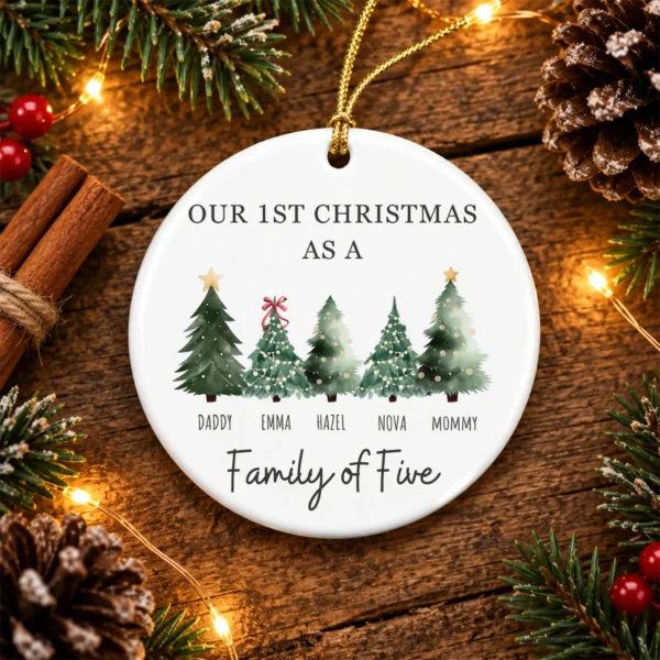 Personalized Family Christmas Ornament with Custom Name Trees — alternate product mockup family Christmas ornament product image product photo
