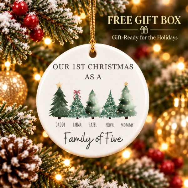 Personalized Family Christmas Ornament with Custom Name Trees — alternate product mockup family Christmas ornament product image product photo