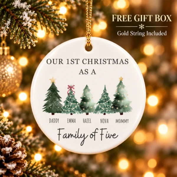 Personalized Family Christmas Ornament with Custom Name Trees — alternate product mockup family Christmas ornament product image product photo